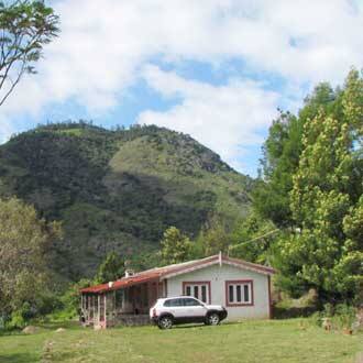 Whispering Wilderness, Masinagudi 1